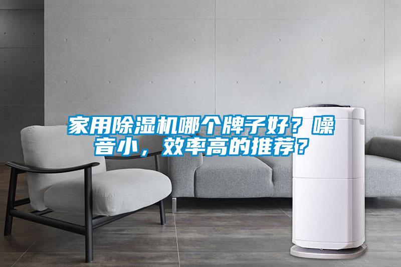 家用除濕機(jī)哪個(gè)牌子好？噪音小，效率高的推薦？