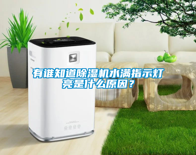 有誰知道除濕機水滿指示燈亮是什么原因？