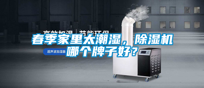 春季家里太潮濕，除濕機(jī)哪個牌子好？
