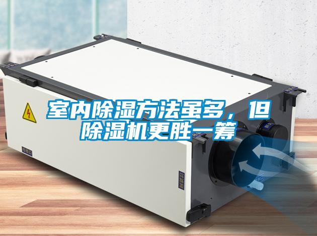 室內(nèi)除濕方法雖多，但除濕機(jī)更勝一籌