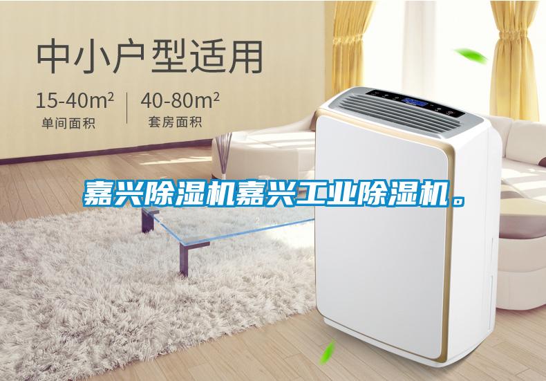 嘉興除濕機嘉興工業(yè)除濕機。