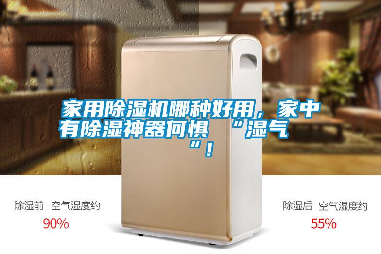 家用除濕機(jī)哪種好用，家中有除濕神器何懼 “濕氣 “！