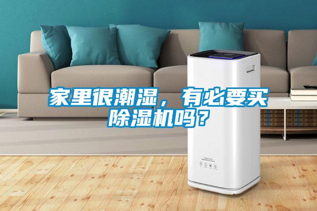 家里很潮濕，有必要買除濕機(jī)嗎？