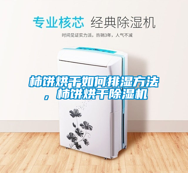 柿餅烘干如何排濕方法，柿餅烘干除濕機