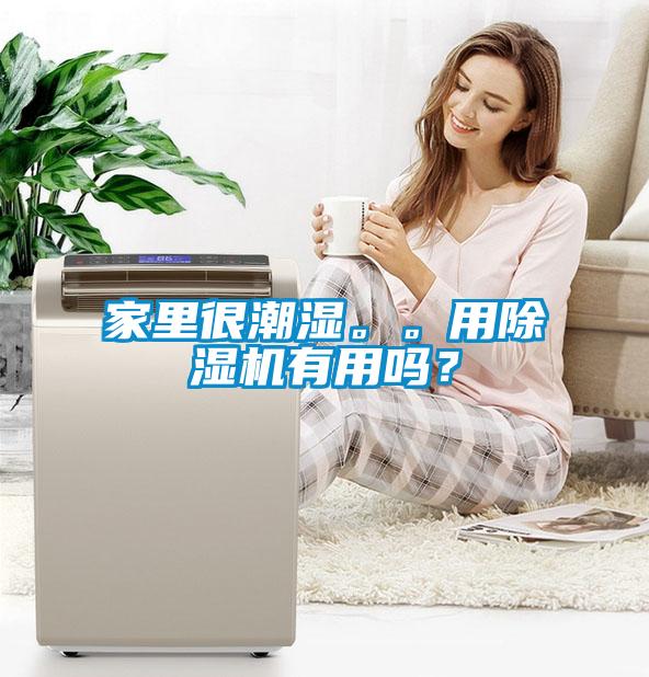 家里很潮濕。。用除濕機(jī)有用嗎？