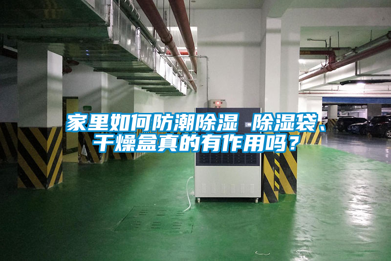 家里如何防潮除濕 除濕袋、干燥盒真的有作用嗎？