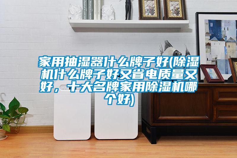家用抽濕器什么牌子好(除濕機什么牌子好又省電質(zhì)量又好，十大名牌家用除濕機哪個好)