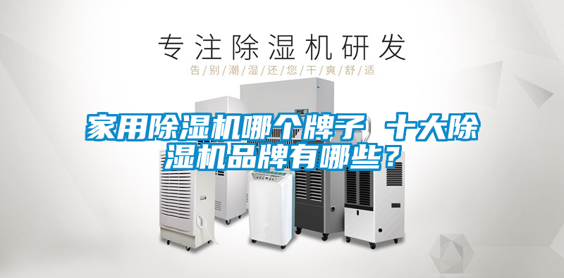 家用除濕機(jī)哪個(gè)牌子 十大除濕機(jī)品牌有哪些？
