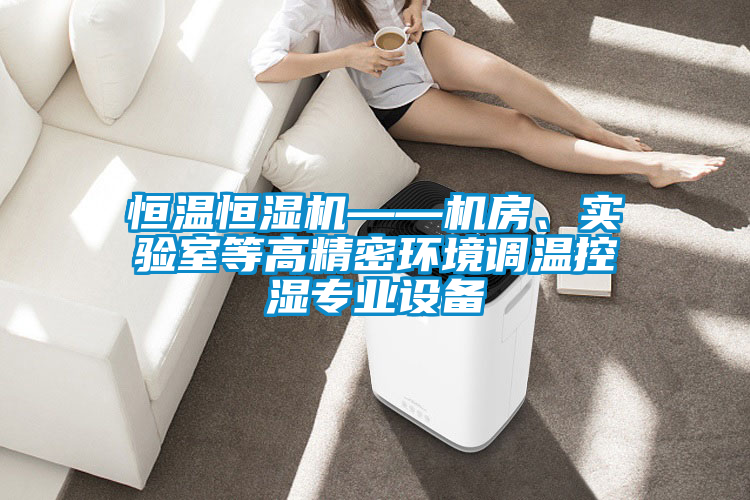 恒溫恒濕機(jī)——機(jī)房、實(shí)驗(yàn)室等高精密環(huán)境調(diào)溫控濕專業(yè)設(shè)備