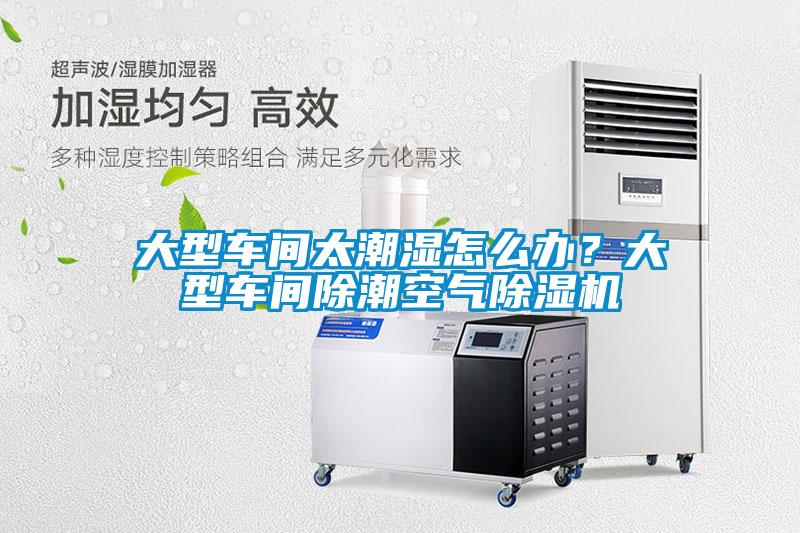 大型車間太潮濕怎么辦？大型車間除潮空氣除濕機