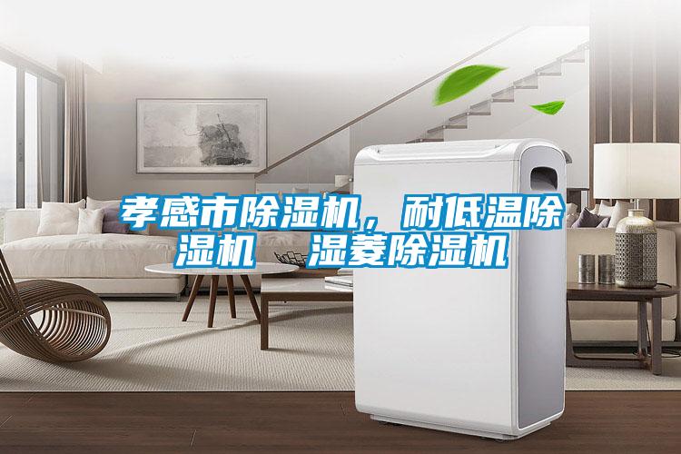 孝感市除濕機，耐低溫除濕機  濕菱除濕機
