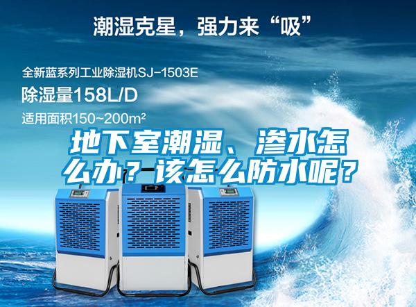 地下室潮濕、滲水怎么辦？該怎么防水呢？