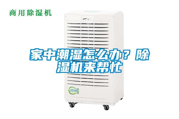 家中潮濕怎么辦？除濕機(jī)來幫忙