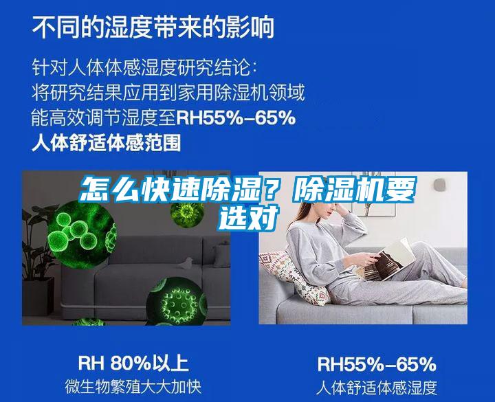 怎么快速除濕？除濕機要選對