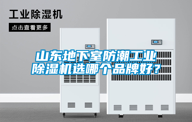 山東地下室防潮工業(yè)除濕機(jī)選哪個(gè)品牌好？