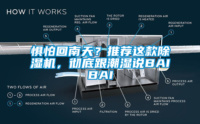 懼怕回南天？推薦這款除濕機(jī)，徹底跟潮濕說BAIBAI