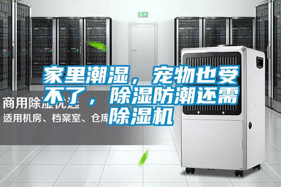 家里潮濕，寵物也受不了，除濕防潮還需除濕機(jī)