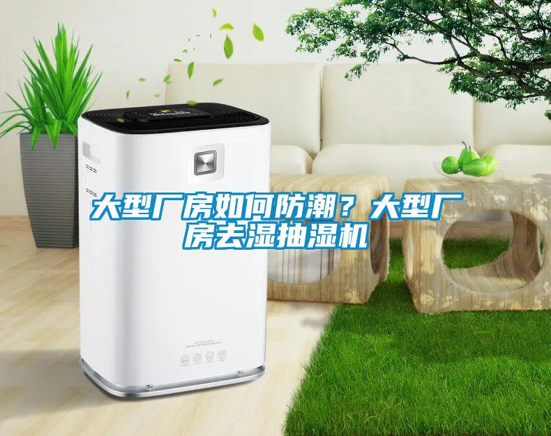 大型廠房如何防潮？大型廠房去濕抽濕機