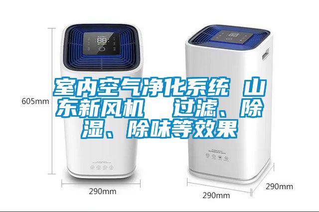室內(nèi)空氣凈化系統(tǒng) 山東新風(fēng)機(jī)  過(guò)濾、除濕、除味等效果