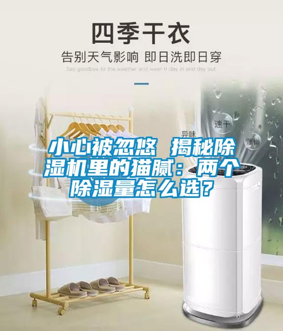 小心被忽悠 揭秘除濕機里的貓膩：兩個除濕量怎么選？