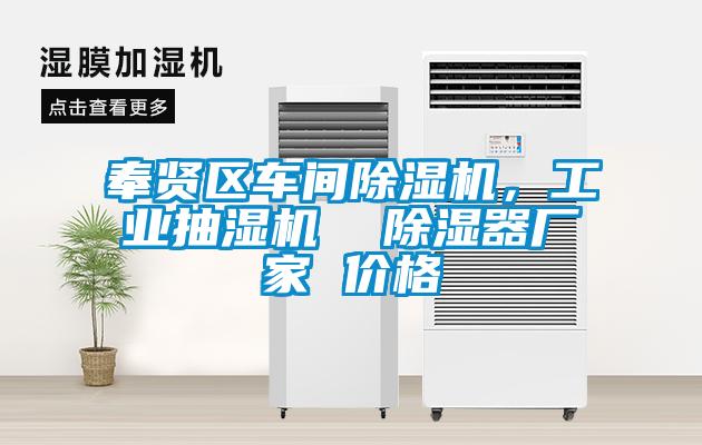 奉賢區(qū)車間除濕機，工業(yè)抽濕機  除濕器廠家 價格