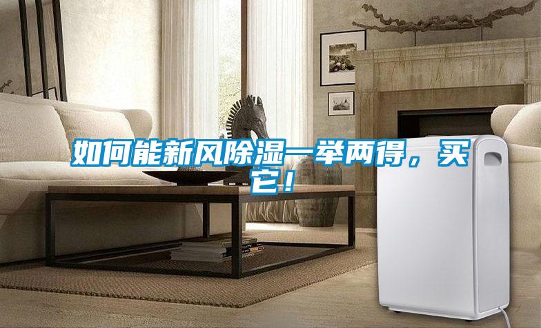 如何能新風(fēng)除濕一舉兩得，買它！