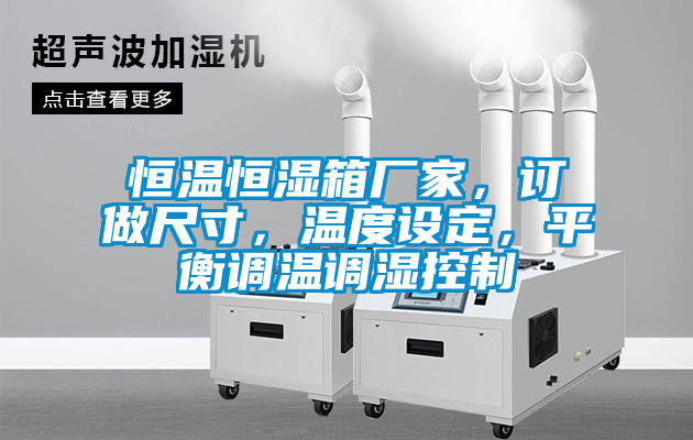 恒溫恒濕箱廠家，訂做尺寸，溫度設(shè)定，平衡調(diào)溫調(diào)濕控制