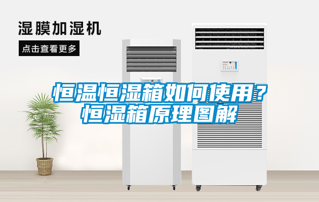 恒溫恒濕箱如何使用？恒濕箱原理圖解
