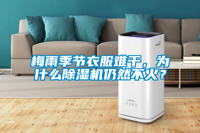 梅雨季節(jié)衣服難干，為什么除濕機(jī)仍然不火？