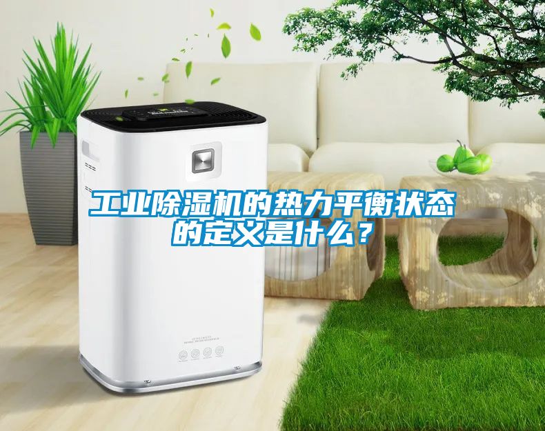 工業(yè)除濕機的熱力平衡狀態(tài)的定義是什么？