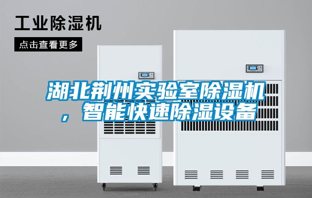 湖北荊州實(shí)驗(yàn)室除濕機(jī)，智能快速除濕設(shè)備
