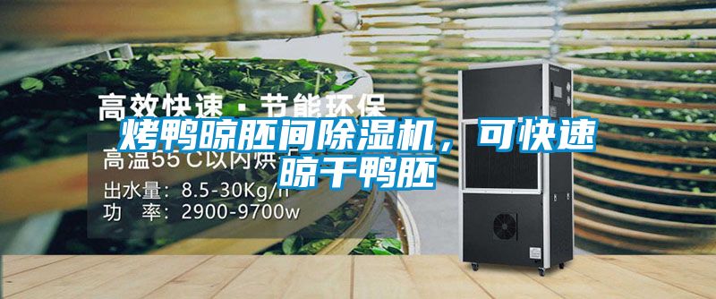 烤鴨晾胚間除濕機，可快速晾干鴨胚