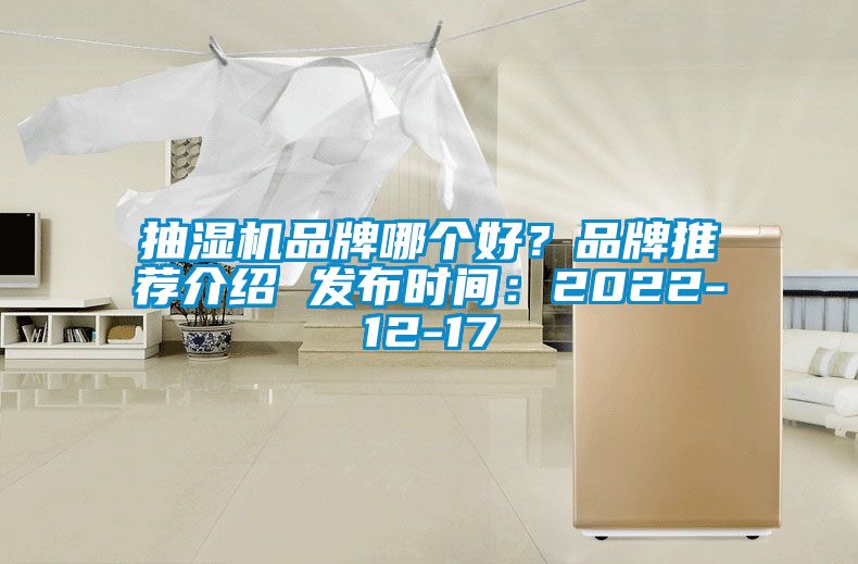 抽濕機品牌哪個好？品牌推薦介紹 發(fā)布時間：2022-12-17