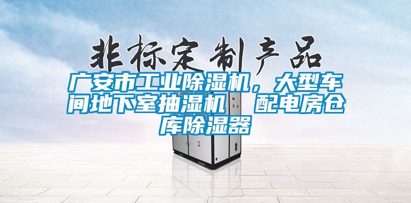 廣安市工業(yè)除濕機，大型車間地下室抽濕機  配電房倉庫除濕器