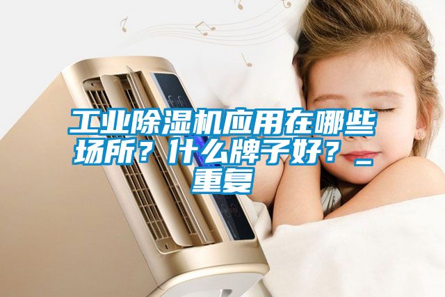 工業(yè)除濕機(jī)應(yīng)用在哪些場(chǎng)所？什么牌子好？_重復(fù)