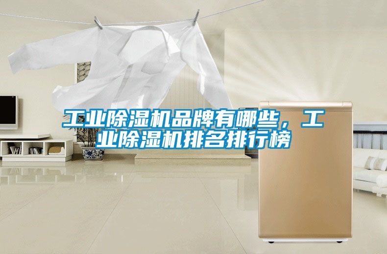 工業(yè)除濕機品牌有哪些，工業(yè)除濕機排名排行榜