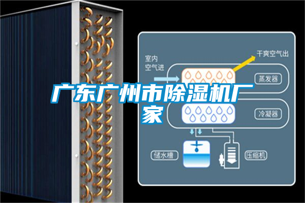 廣東廣州市除濕機(jī)廠(chǎng)家