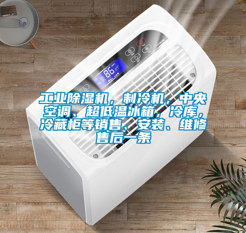 工業(yè)除濕機(jī)，制冷機(jī)，中央空調(diào)、超低溫冰箱，冷庫(kù)，冷藏柜等銷售、安裝、維修售后一條