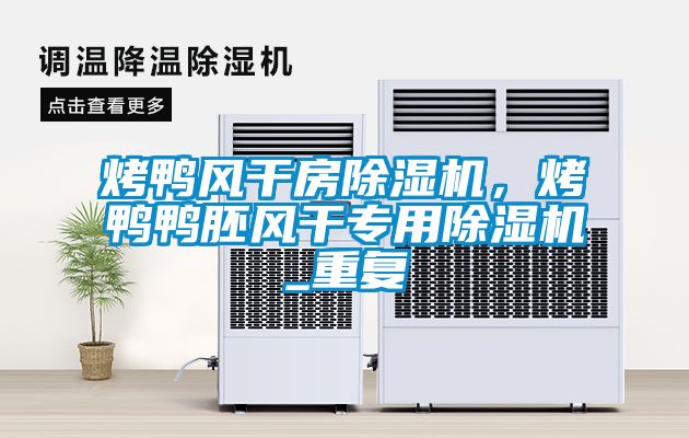 烤鴨風(fēng)干房除濕機(jī)，烤鴨鴨胚風(fēng)干專用除濕機(jī)_重復(fù)