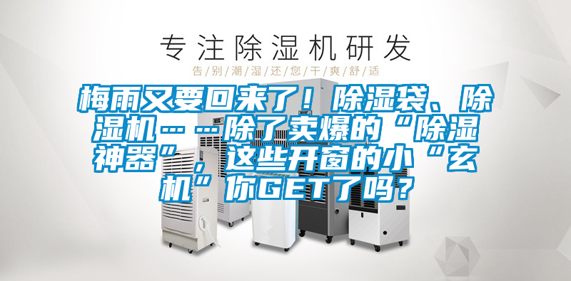梅雨又要回來了！除濕袋、除濕機……除了賣爆的“除濕神器”，這些開窗的小“玄機”你GET了嗎？