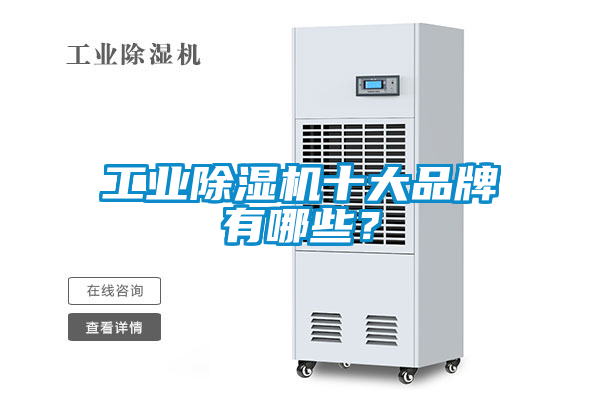工業(yè)除濕機(jī)十大品牌有哪些？