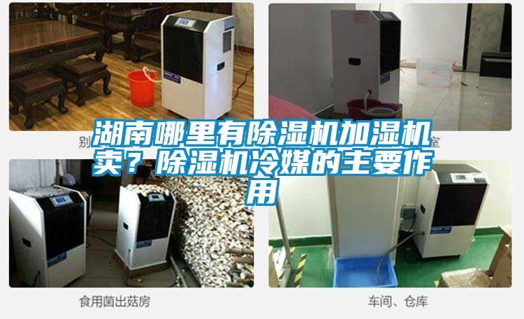 湖南哪里有除濕機(jī)加濕機(jī)賣？除濕機(jī)冷媒的主要作用