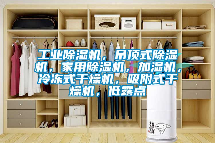 工業(yè)除濕機(jī)，吊頂式除濕機(jī)，家用除濕機(jī)，加濕機(jī)，冷凍式干燥機(jī)，吸附式干燥機(jī)，低露點(diǎn)