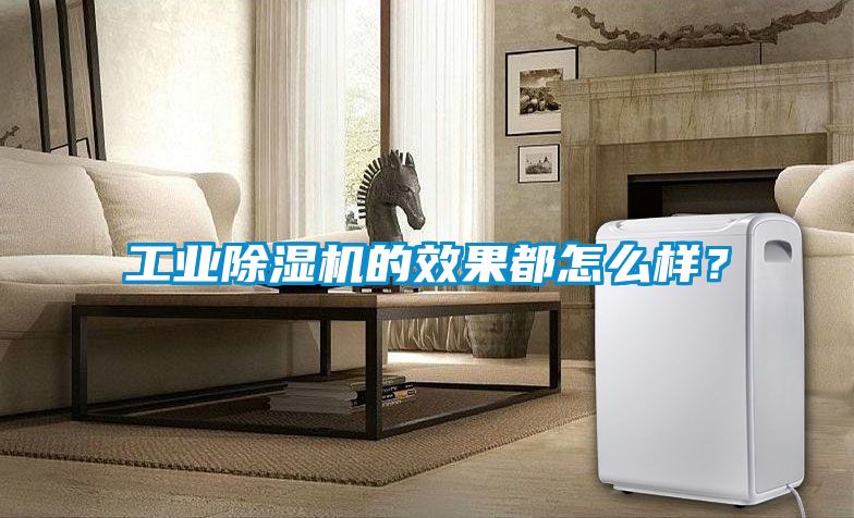 工業(yè)除濕機(jī)的效果都怎么樣？