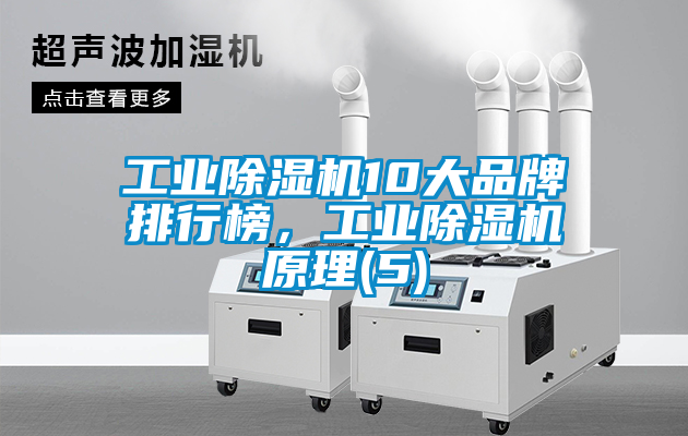 工業(yè)除濕機10大品牌排行榜，工業(yè)除濕機原理(5)