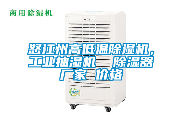 怒江州高低溫除濕機(jī)，工業(yè)抽濕機(jī)  除濕器廠(chǎng)家 價(jià)格