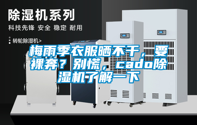 梅雨季衣服曬不干，要裸奔？別慌，cado除濕機(jī)了解一下
