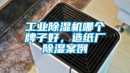 工業(yè)除濕機哪個牌子好，造紙廠除濕案例