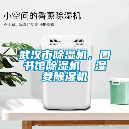 武漢市除濕機，圖書館除濕機  濕菱除濕機