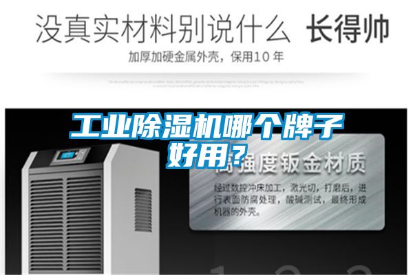 工業(yè)除濕機哪個牌子好用？